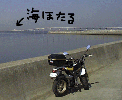 �A�N�A���C��