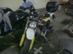 苫小牧行フェリー船内