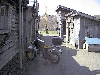 幸せの黄色いハンカチ(夕張)