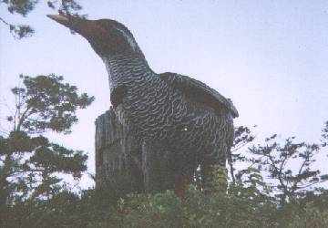 �����o���N�C�i�W�]��