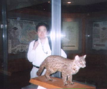 �C���I���e���}�l�R