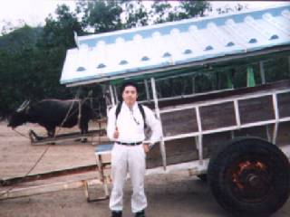 �R�z���̐�����