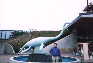 ���킫�s�@�ΒY�E���Ί�